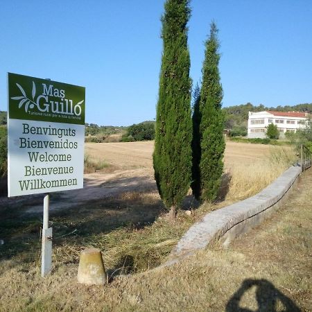 La Nursery De Mas Guillo San Quintín de Mediona Buitenkant foto
