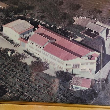 La Nursery De Mas Guillo San Quintín de Mediona Buitenkant foto